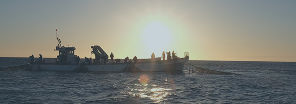 OVERSEAS 在外事業